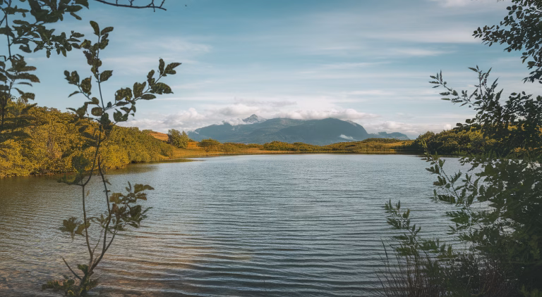 Investing in Water: Best Sustainable Investments for Beginners