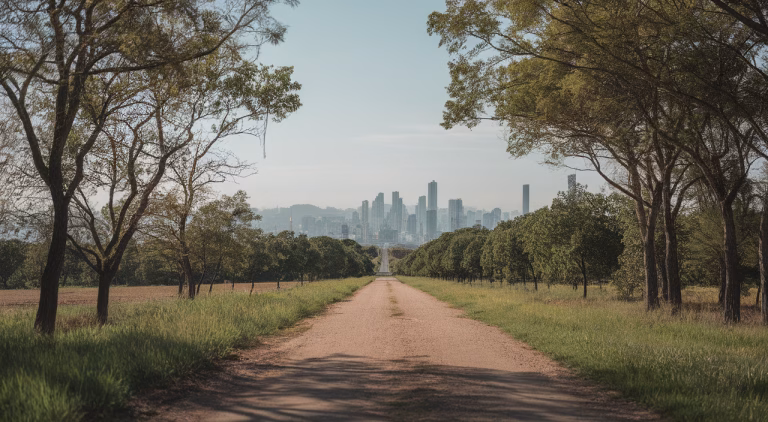 Tree-lined road leading toward a distant city skyline